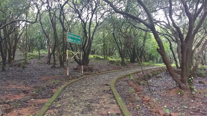 Guided Jungle Nature Walk photo 3