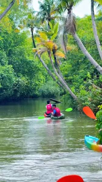 Mangrove Kayaking Experience photo 2