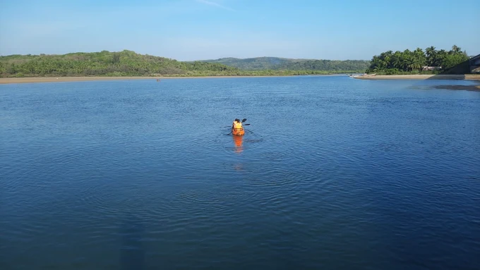 Taramumbari Mangrove Safari photo 4