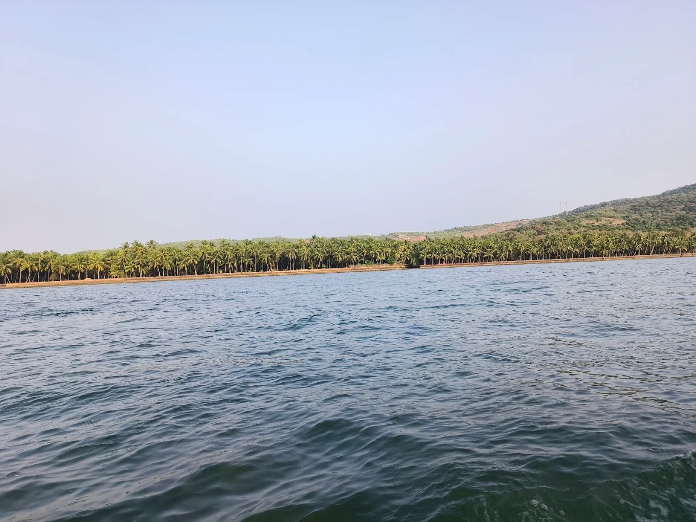 Crocodile Island