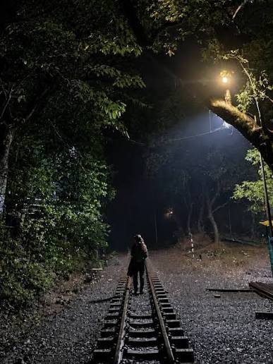 Amboli Herpetofauna Night Trail photo 2