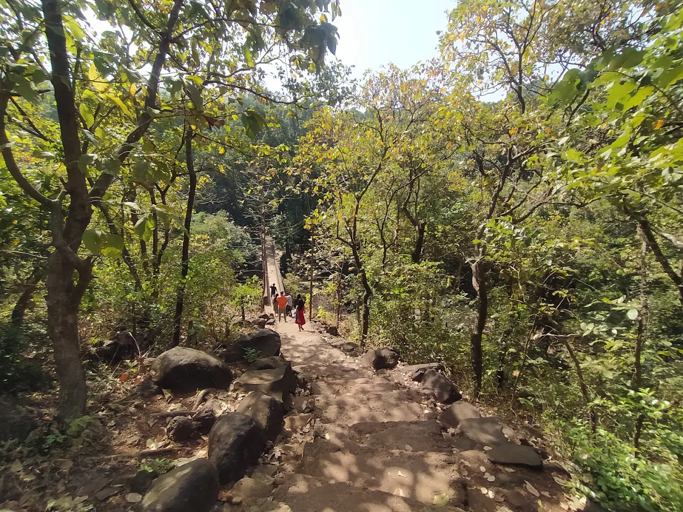 Keshavraj Forest Trail photo 2