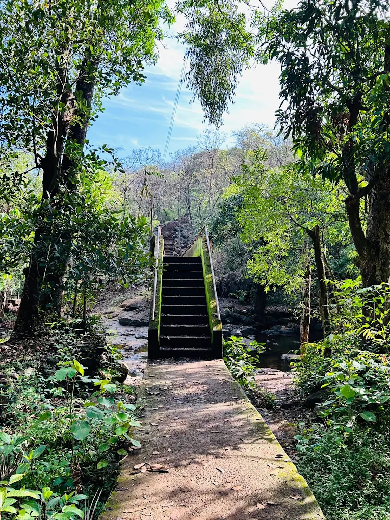 Keshavraj Forest Trail photo 3