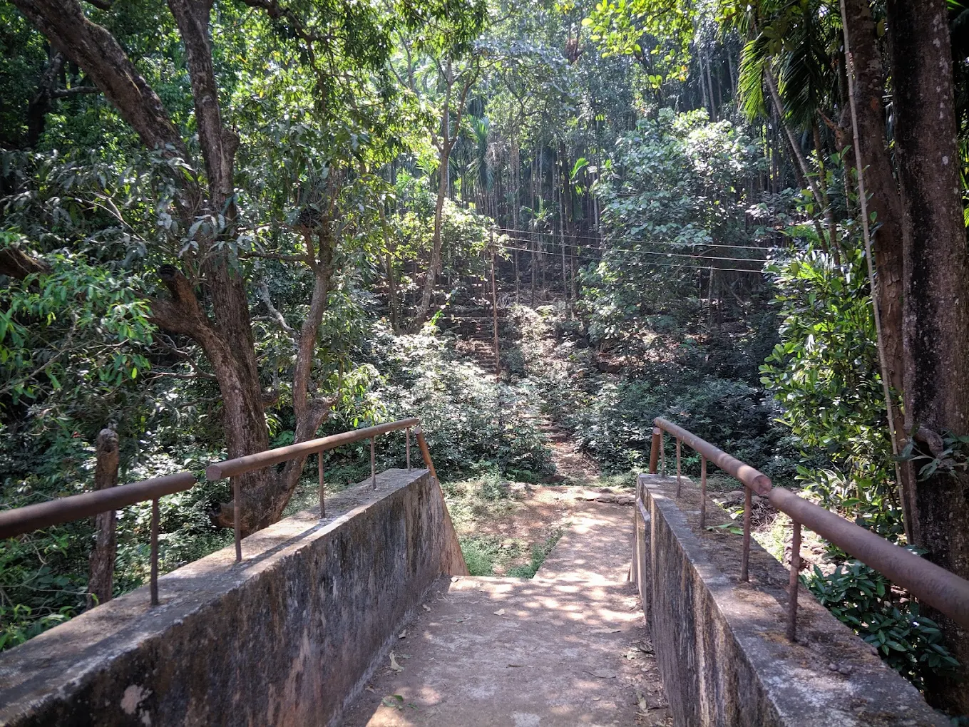 Keshavraj Forest Trail photo 4