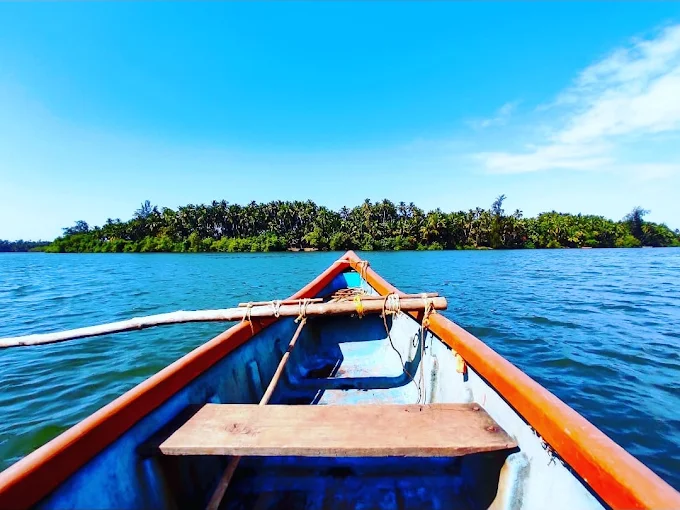 Pankhol Juva Mangrove Reserve