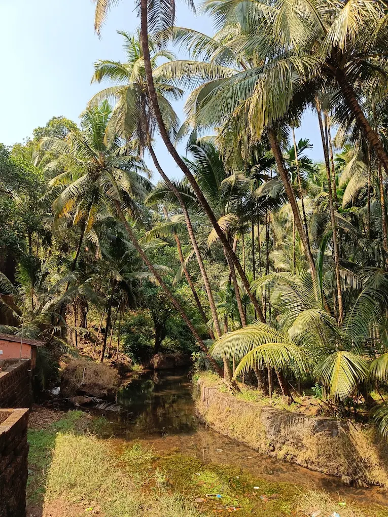 Vimleshwar Temple & Rock-Cut Heritage photo 2